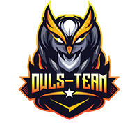 OwlsTeam-logo